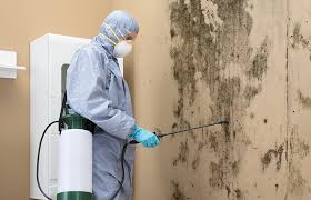 Best Mold Odor Removal Services in Follansbee, WV